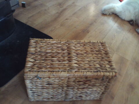 Malle en jacinthe d'eau 45 Berriac (11)