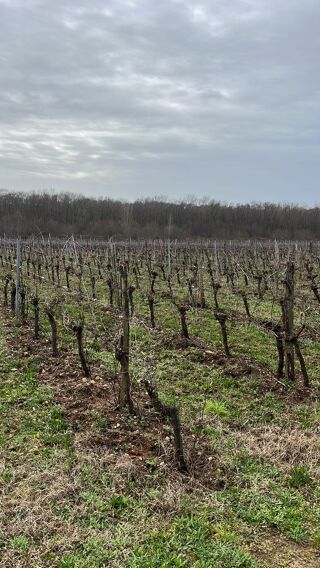  Terrain � vendre 51000 m� Castres-gironde