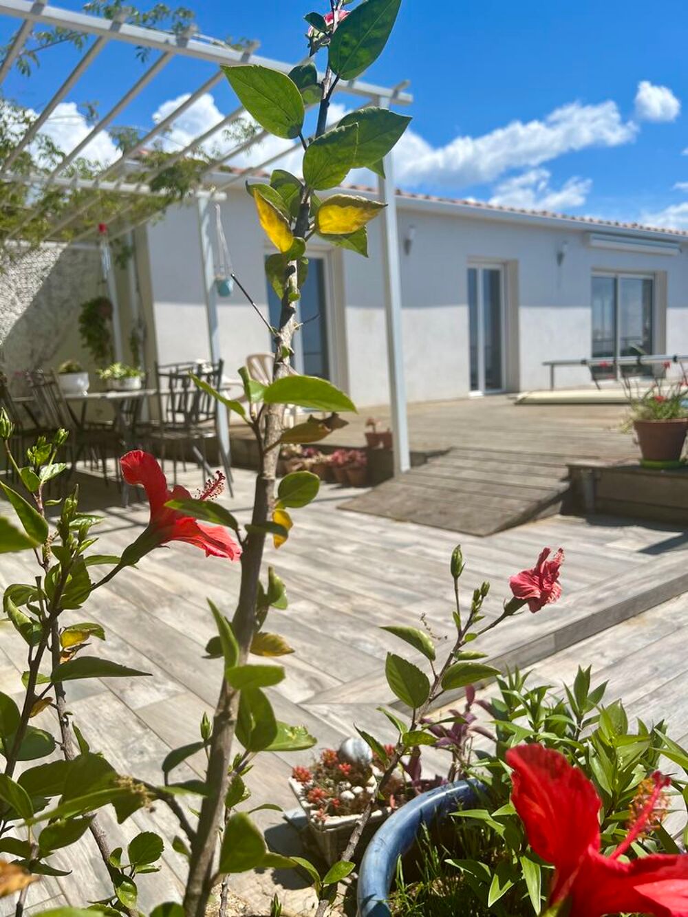 � vendre  Villa Eccica-Suarella (20117)