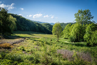  Maison � vendre 12 pi�ces 600 m�