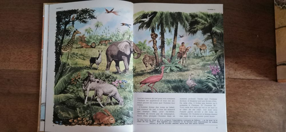 L'histoire SAINTE pour gar&ccedil;ons et Filles de 1968 Jeux / jouets
