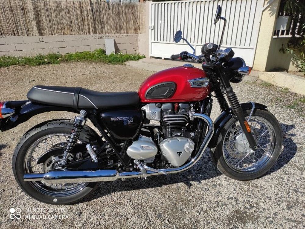 TRIUMPH 2021 occasion 66000 Perpignan