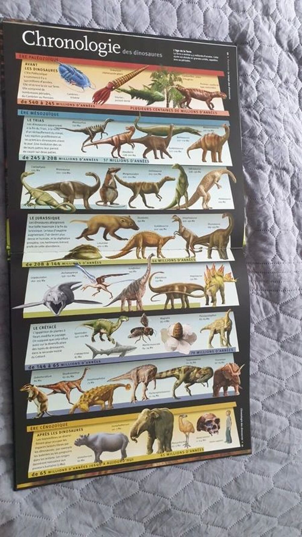 les dinosaures &agrave; la loupe
Tr&egrave;s bon &eacute;tat
Auteur
Long John
tr&egrave; Livres et BD