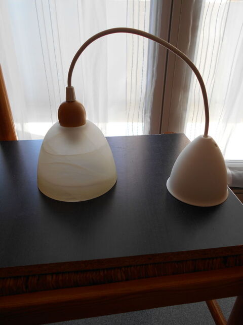 Lustre verre opaque 8 Rennes (35)