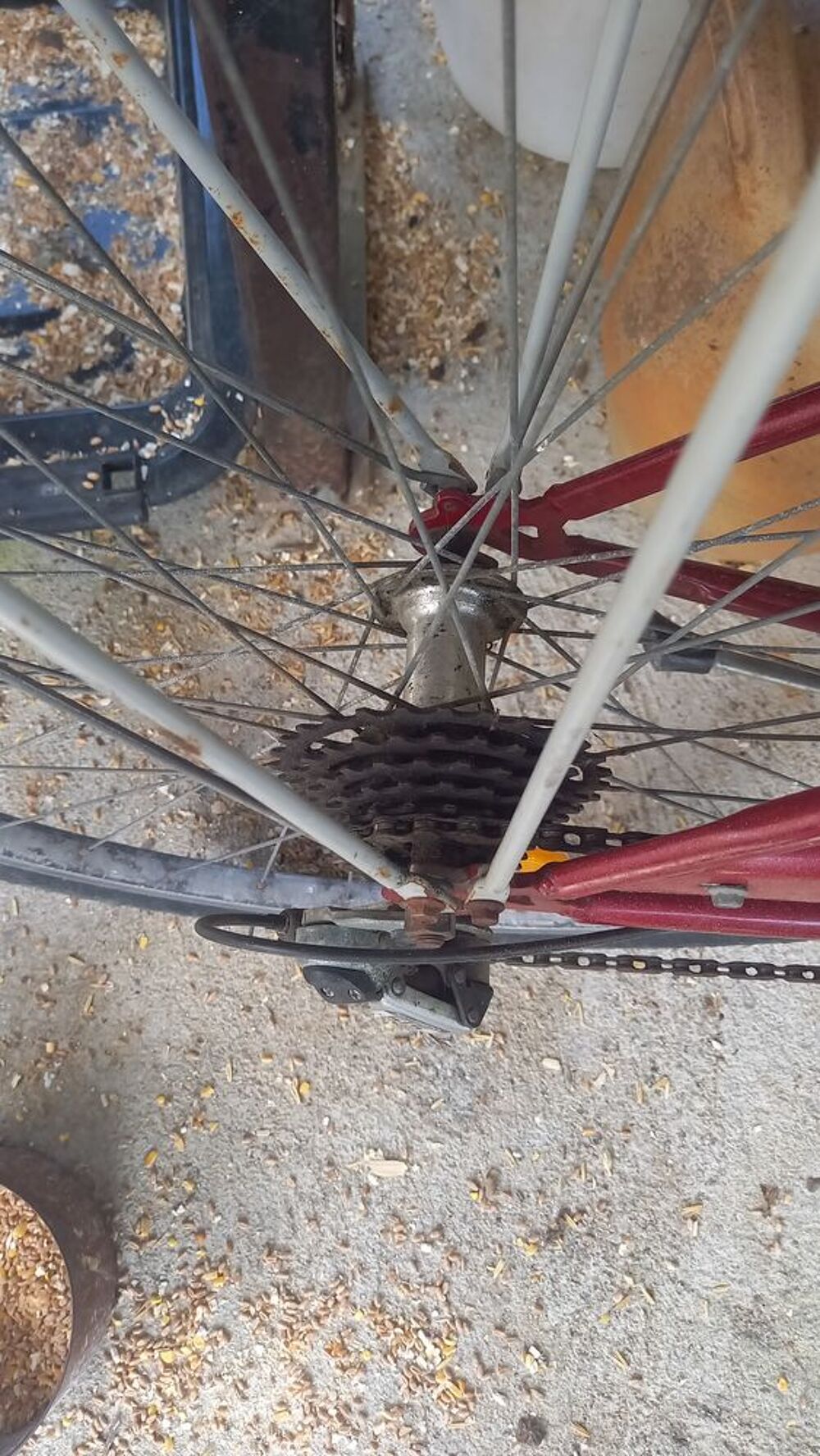 V&eacute;lo Dame Vélos