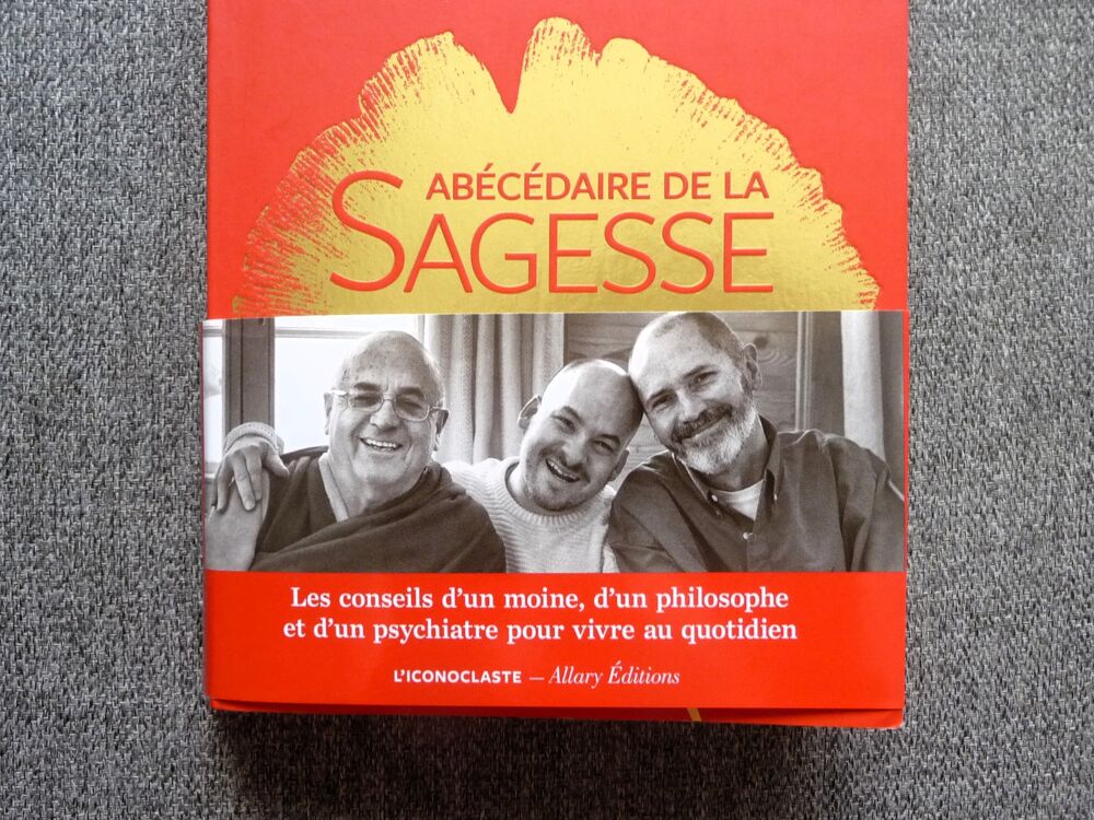 Ab&eacute;c&eacute;daire de la Sagesse-Christophe Andr&eacute;- Matthieu Ricard Livres et BD