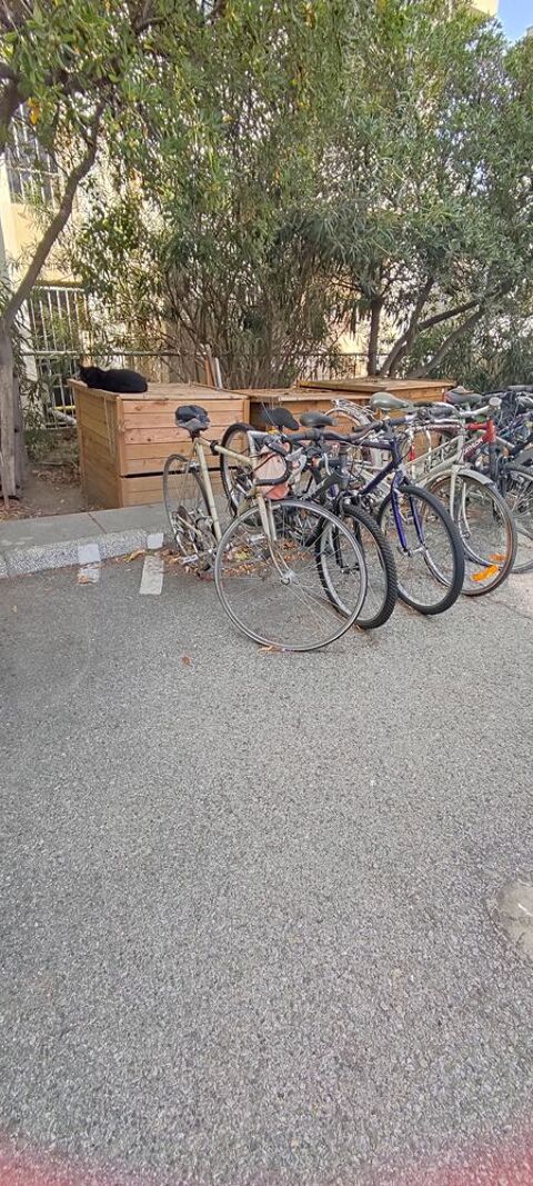  Appartement � louer 3 pi�ces 78 m�