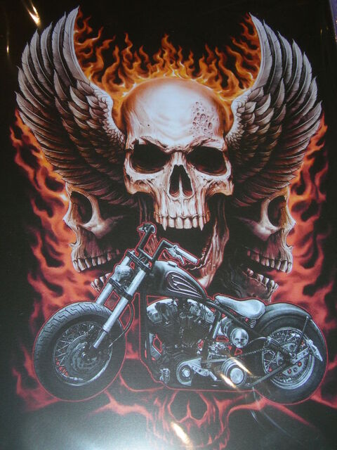 Plaque m�tal  T�te de mort  5 Clarensac (30)