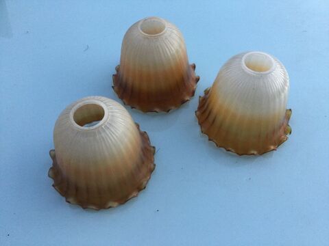 Globes anciens marrons (lot de 3) 40 Toulouse (31)