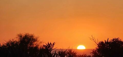   Appartement 1 pi�ce 25 m2 Biarritz Milady vue oc�an Appartement - 1 pi�ce(s) - 25 m�