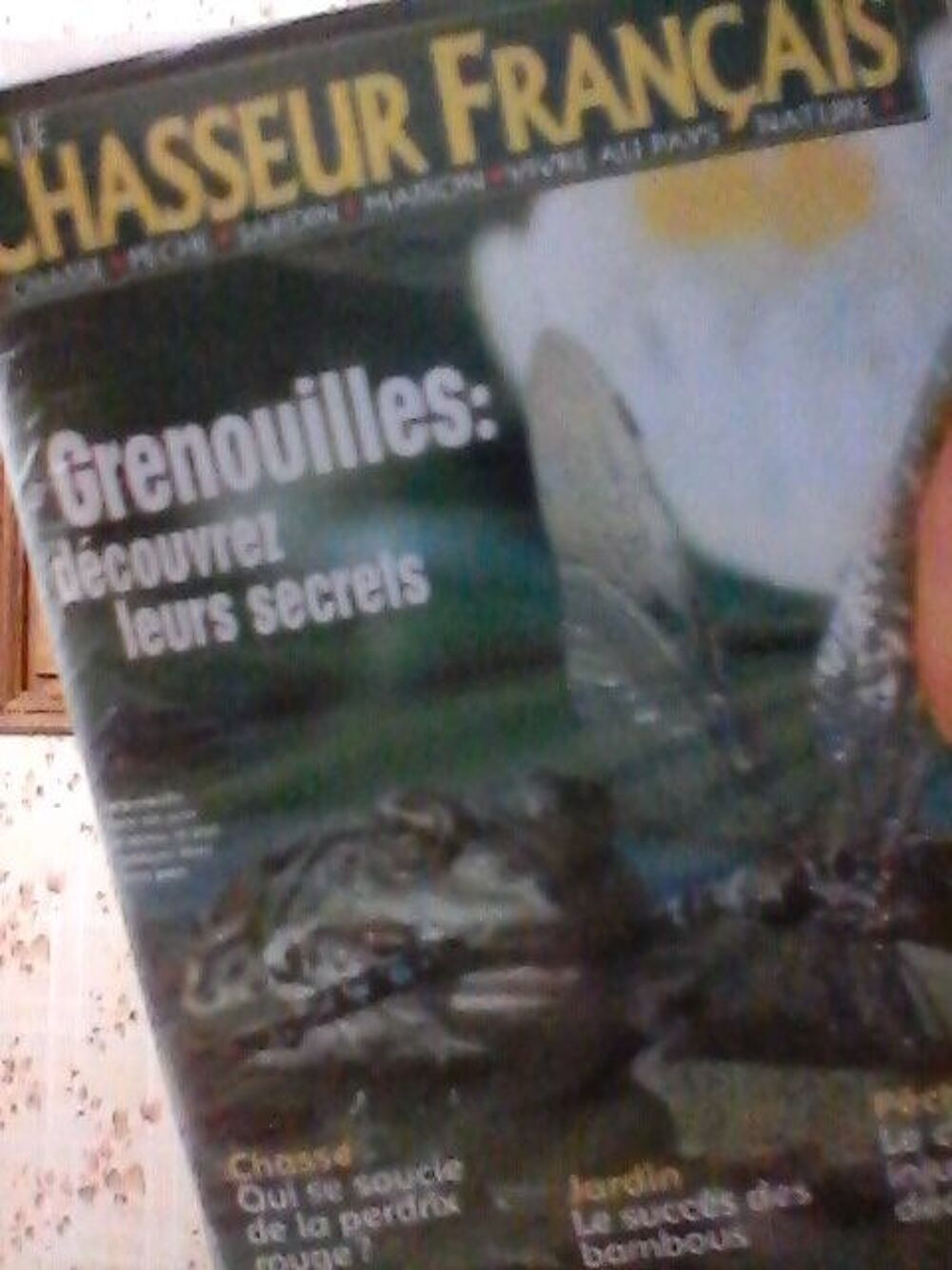 Chasseur Fran&ccedil;ais. Livres et BD