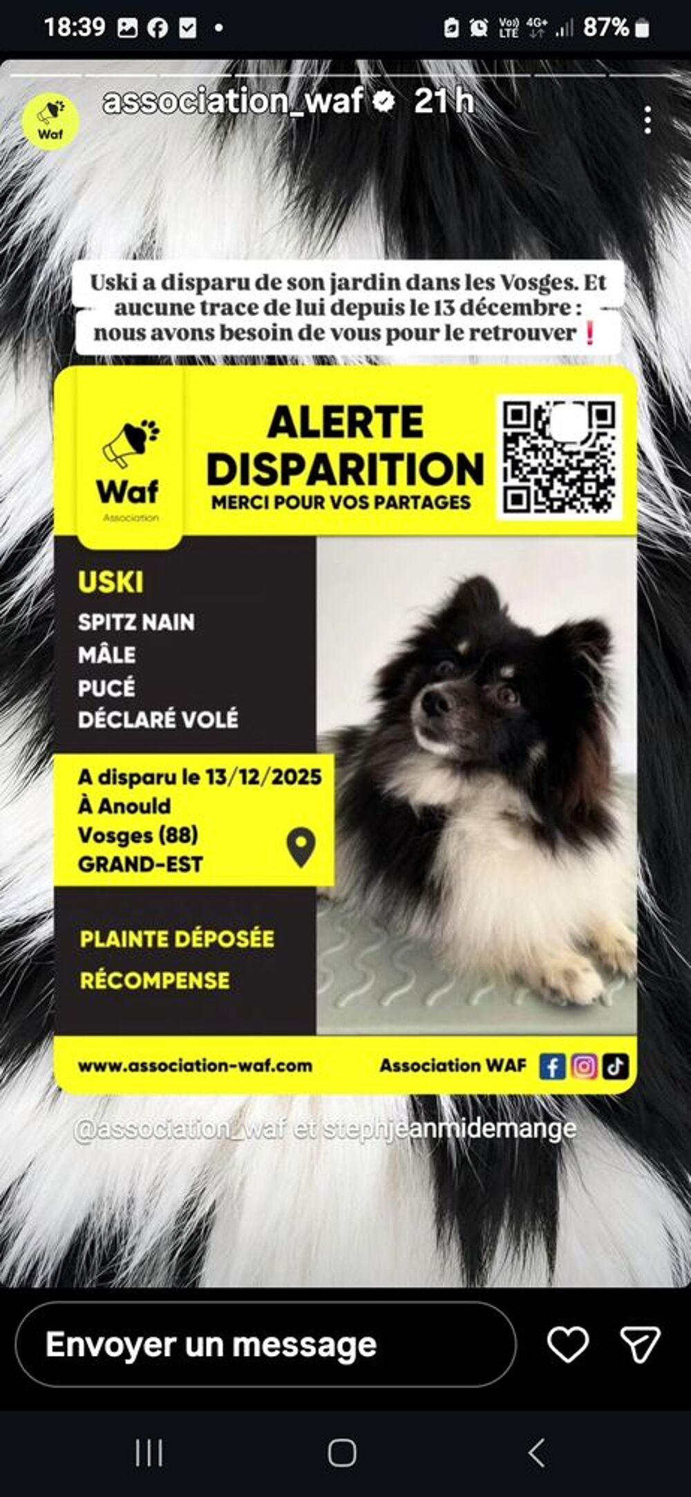   ALERTE DISPARITION A ARNOULD DPT 88 VOSGES SPITZ  