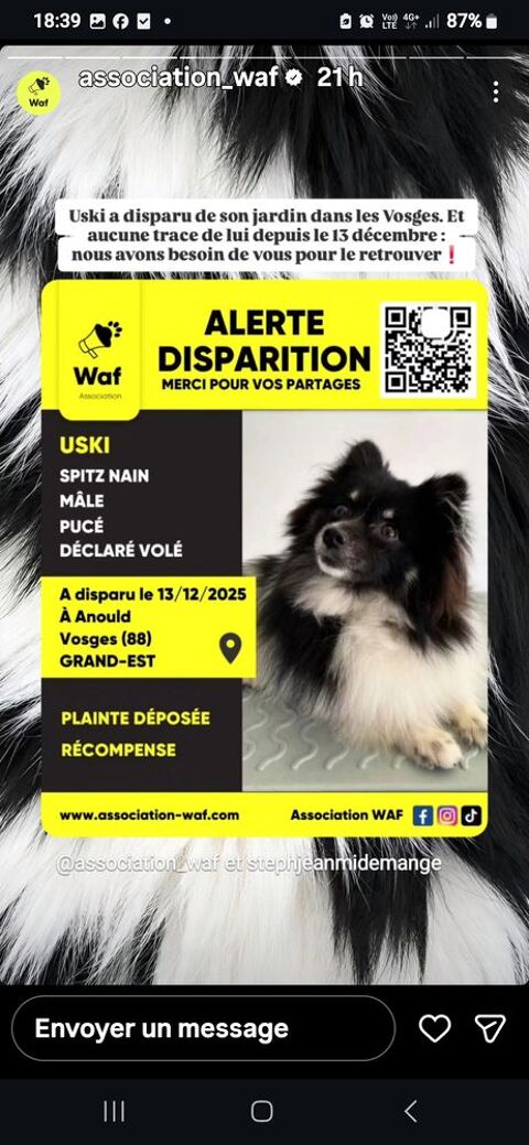 ALERTE DISPARITION A ARNOULD DPT 88 VOSGES SPITZ 0 06400 Cannes
