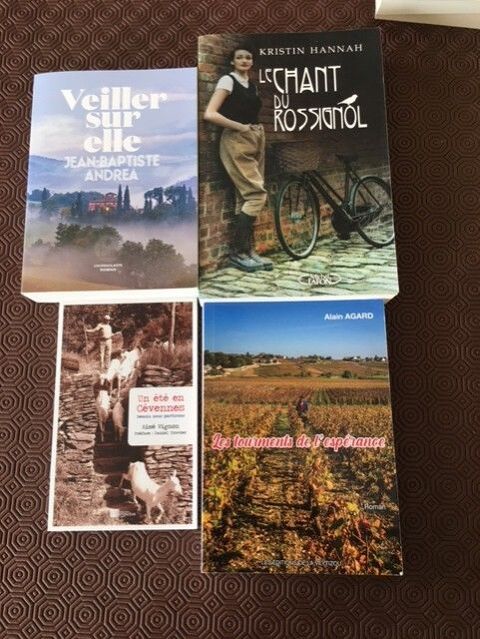 Romans 8 Chlette-sur-Loing (45)