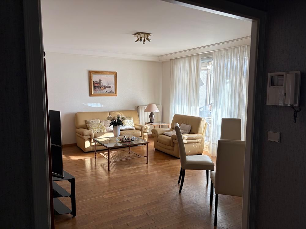 Location Appartement Dans le paisible, quartier de monchat, superbe T3 Lyon 3
