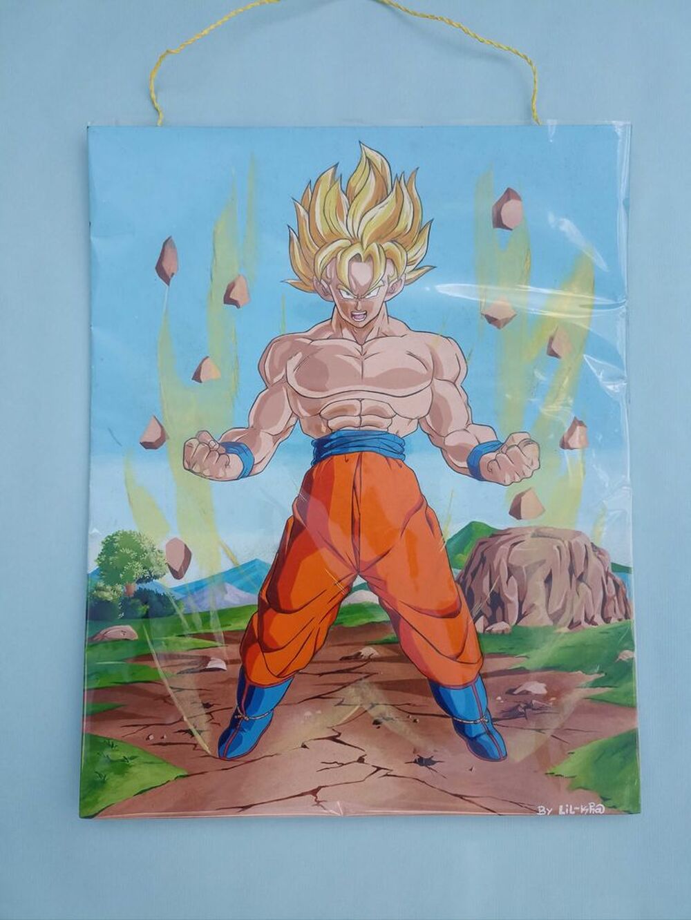 tableau d&eacute;co dragon ball z, Songoku Décoration