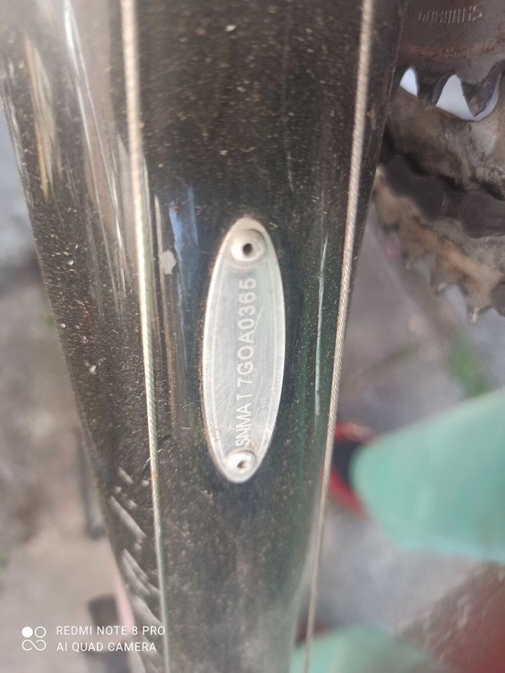 velo orbea route, carde carbonne Vélos