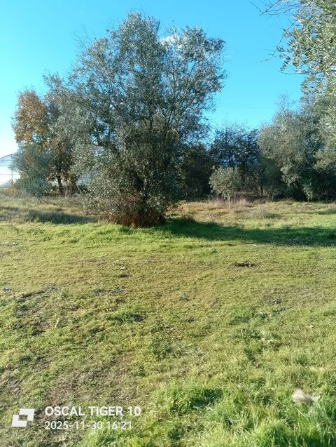  Maison � louer 3 pi�ces 70 m�