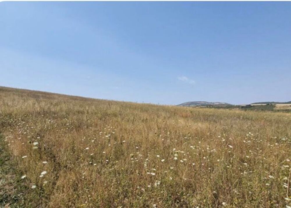Vente Terrain Terrain constructible environ 1000 m2 à Champeix Champeix