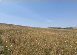 Vente Terrain Terrain constructible environ 1000 m2 à Champeix Champeix