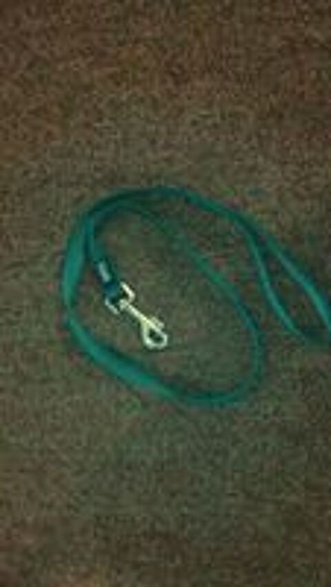   Laisse Courte Chien / Chiot - Taille M 