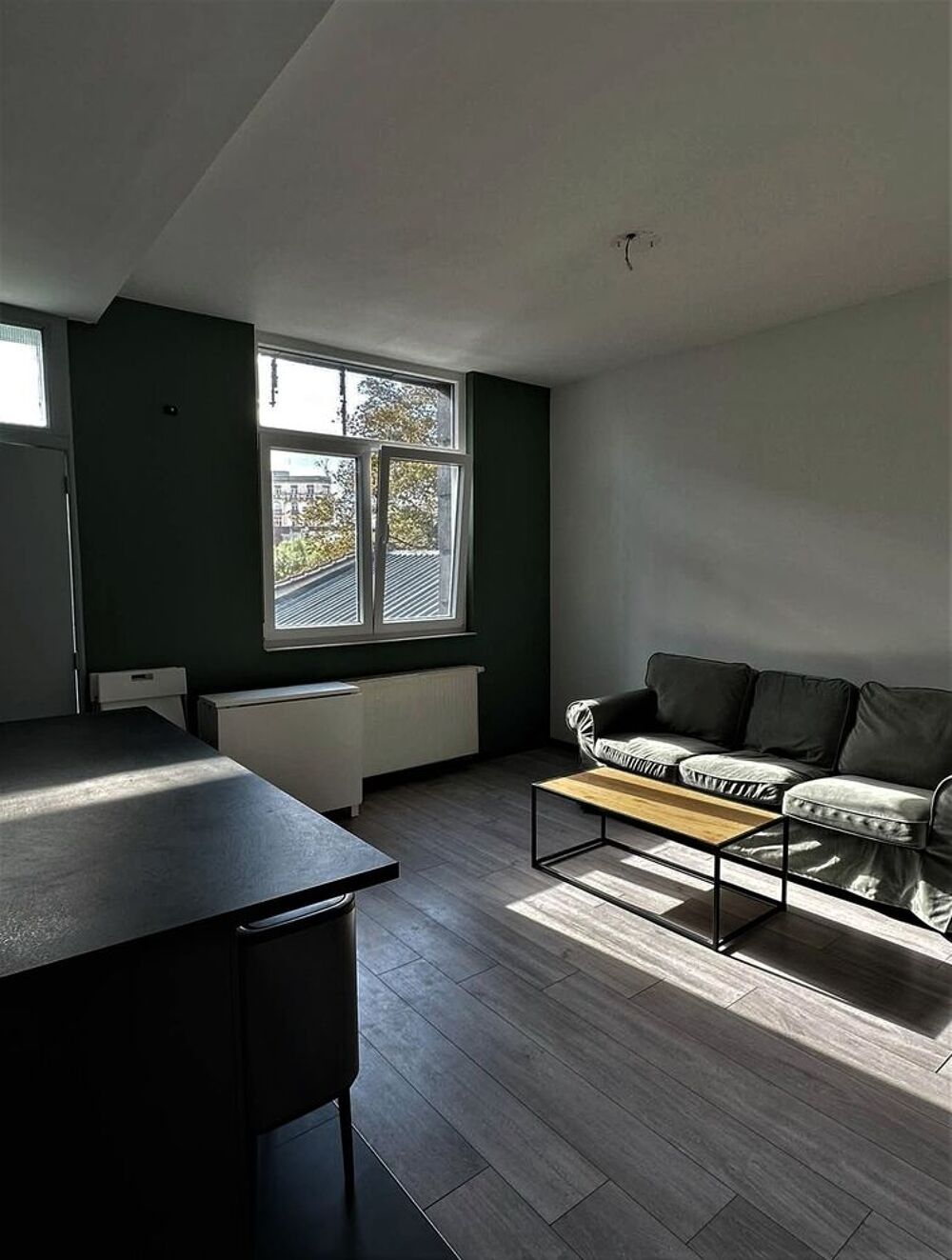 Location Appartement 1 pièce meuble Montpellier
