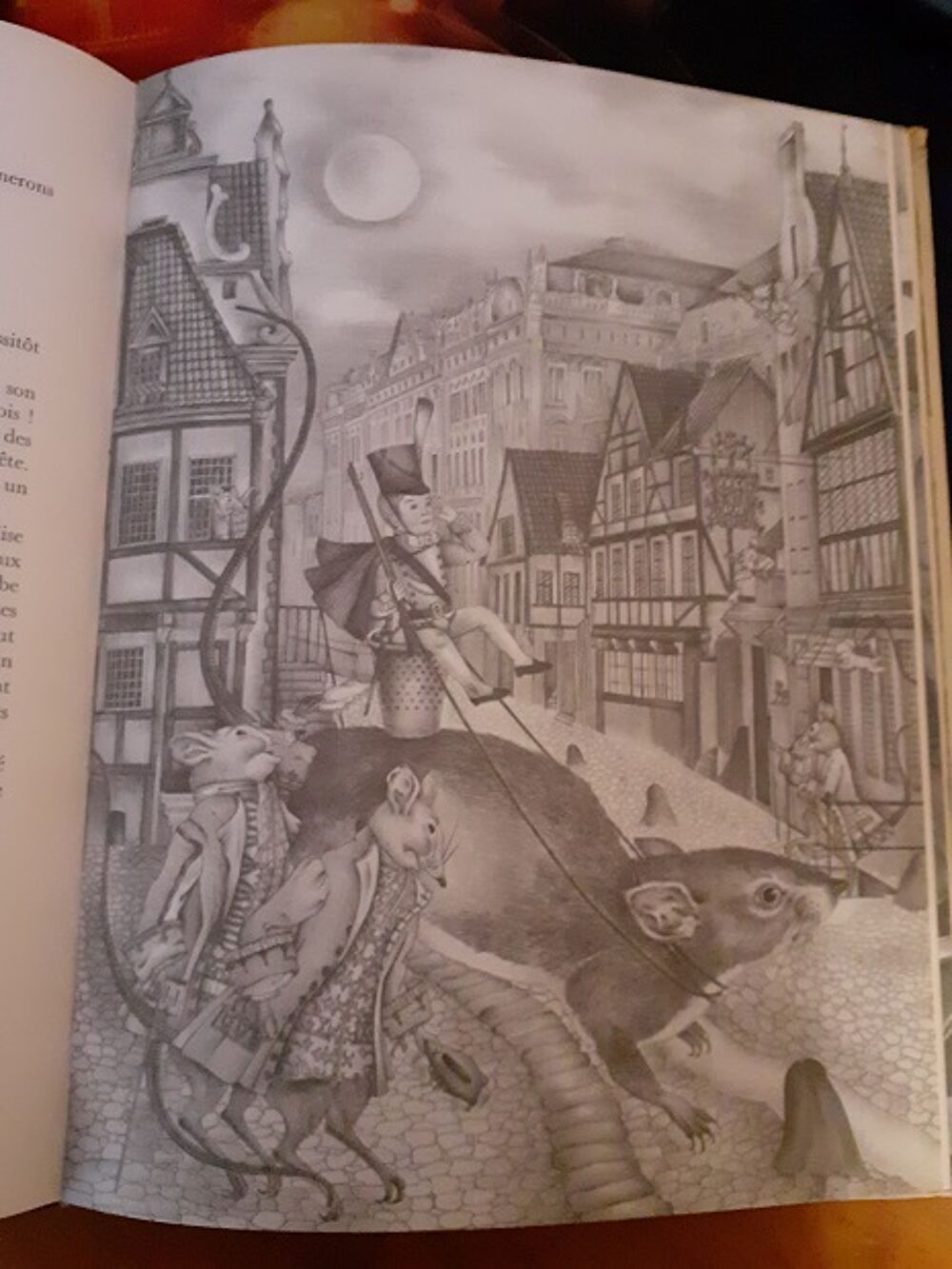 2 Livres de conte D'ANDERSEN belles illustrations Livres et BD