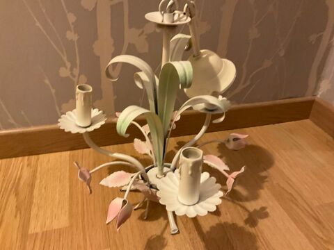 Lustre Flines-lez-Raches (59)