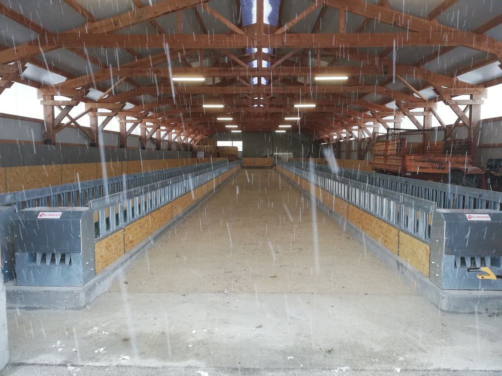   tapis alimentation ovins  