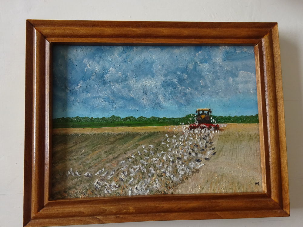 7 tableaux huile Décoration