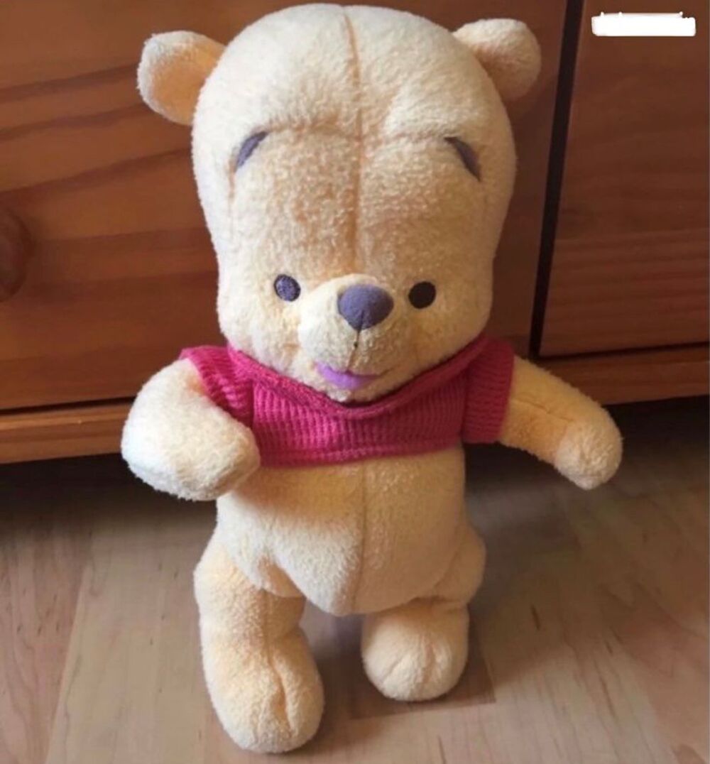Doudou Winnie l'Ourson Jeux / jouets