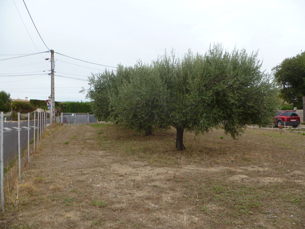 Vente Terrain Terrain Pouzolles
