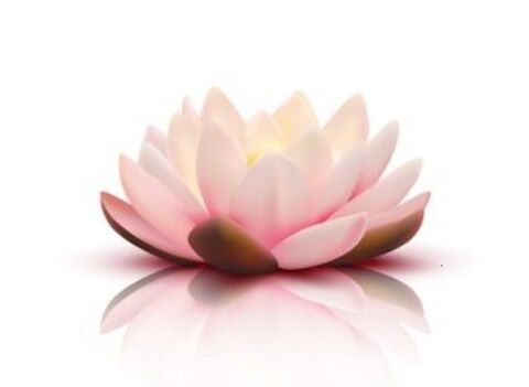 Massage et &eacute;pilation  100 84000 Avignon