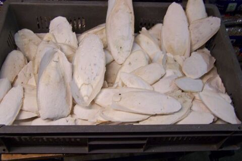 os de seiche 1 58180 Marzy