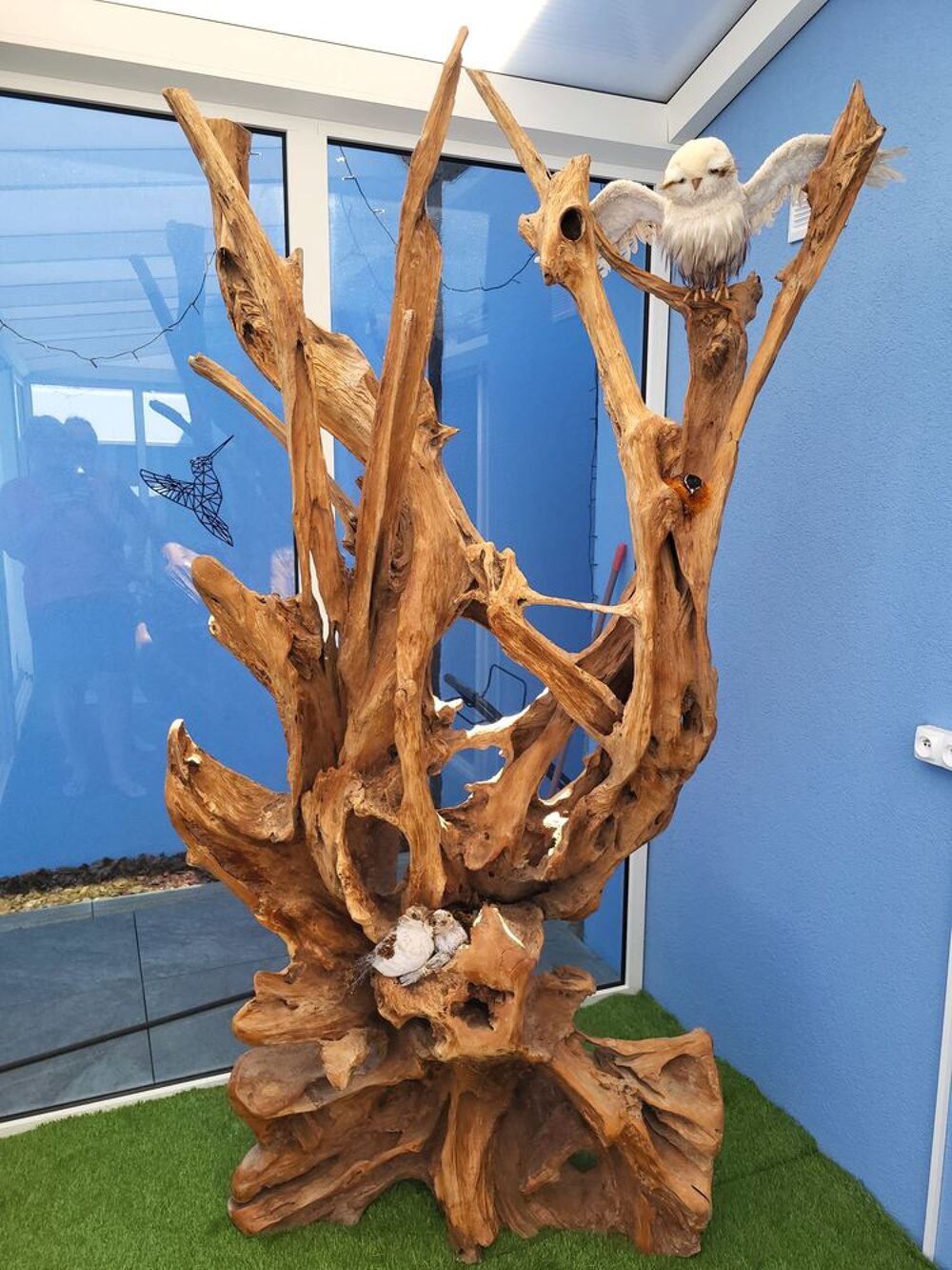 Grande racine d&eacute;corative en teck 2m10 Décoration