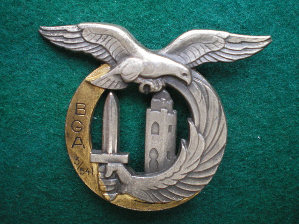 Insigne de l'Air - Bataillon de Garde de l'Air 3/541. 