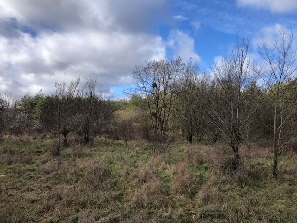 Vente Terrain AUX PORTES SUD DE DIJON TERRAIN LANDES BOIS SUR 1 HA 68 Dijon