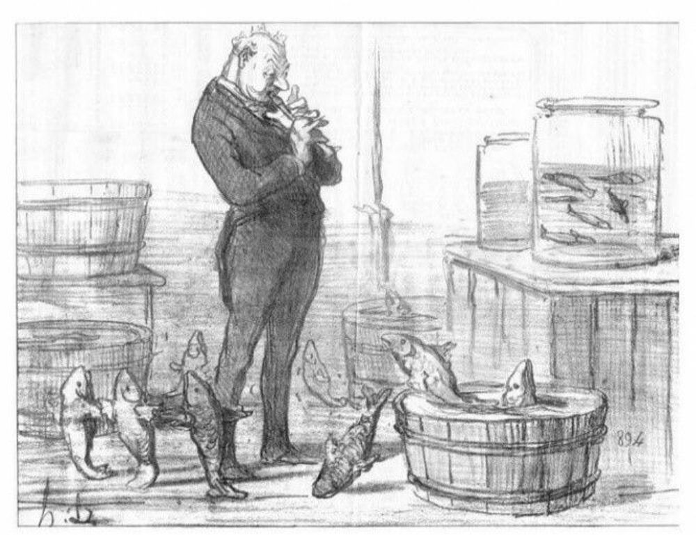 Des &eacute;tangs, des carpes, bienvenue dans le Sundgau Livres et BD