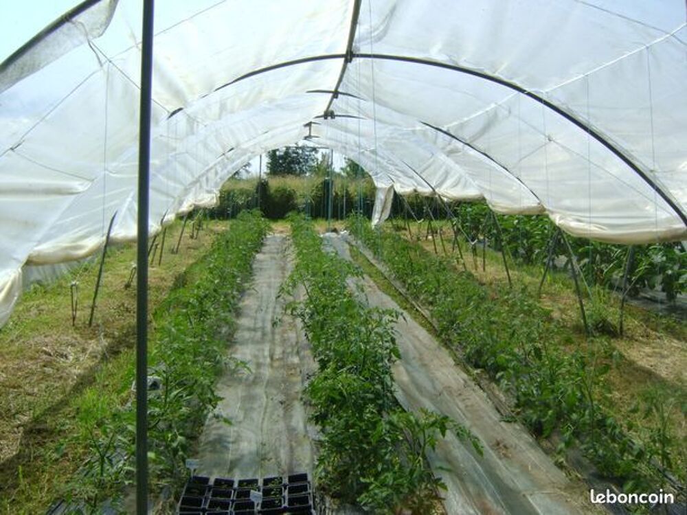 SERRE TUNNEL PRO 10M LONG 5M LARGE 2,10M HAUT BARRE CENTRALE Jardin