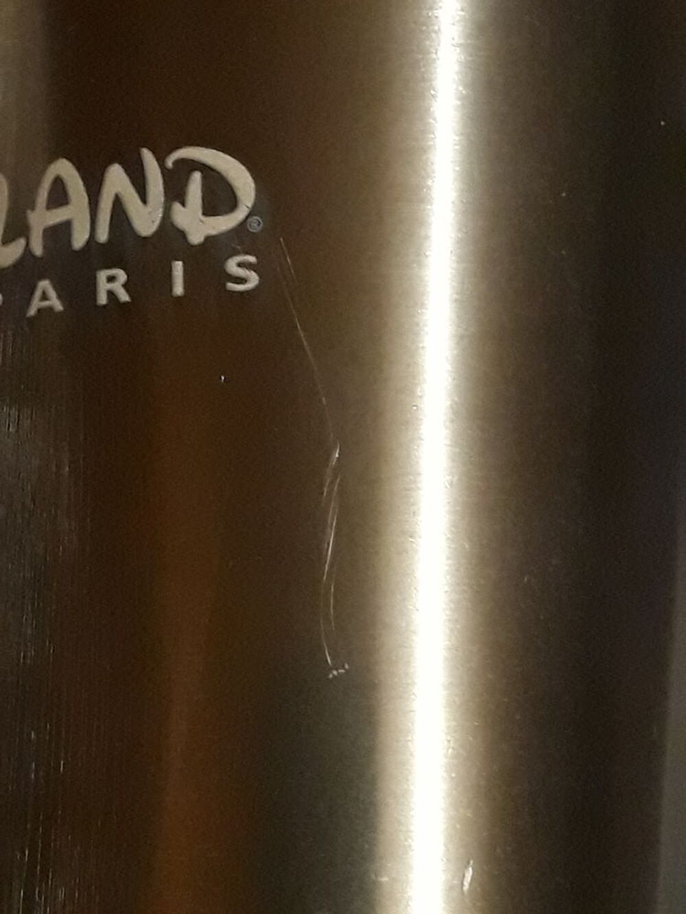 Thermos Mickey - Disneyland Paris Electroménager