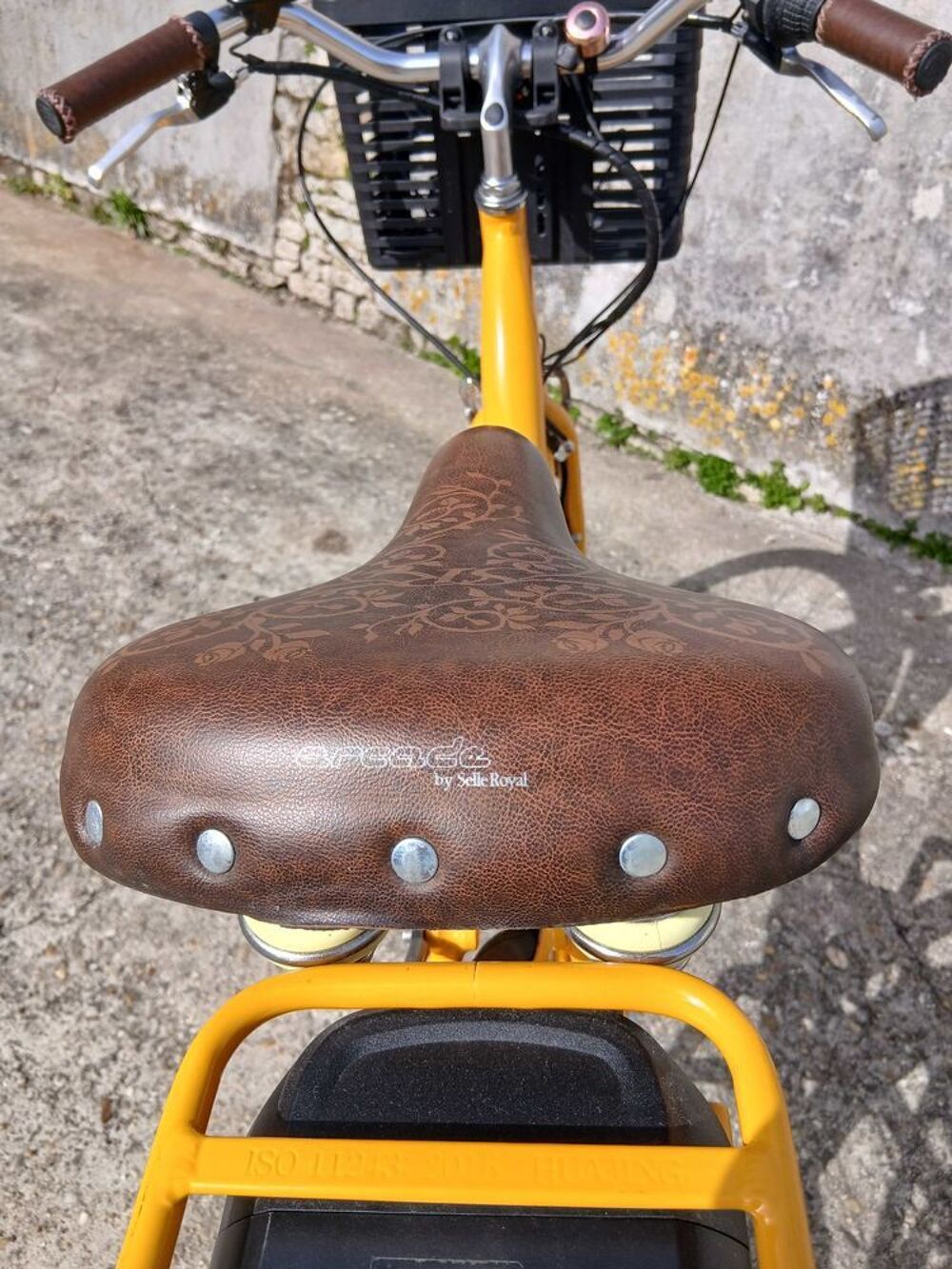   vélo+ðŸ² Poitou-Charentes, Saujon (17600)