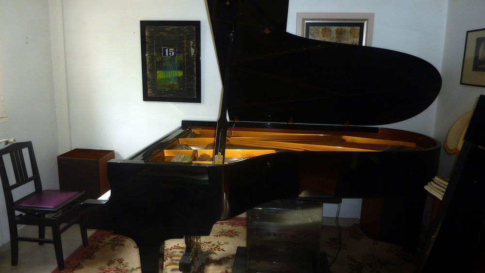 Piano d'exception. Magnifique FEURICH 3/4 de queue de 1985 Instruments de musique