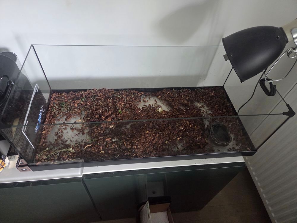   Terrarium 
