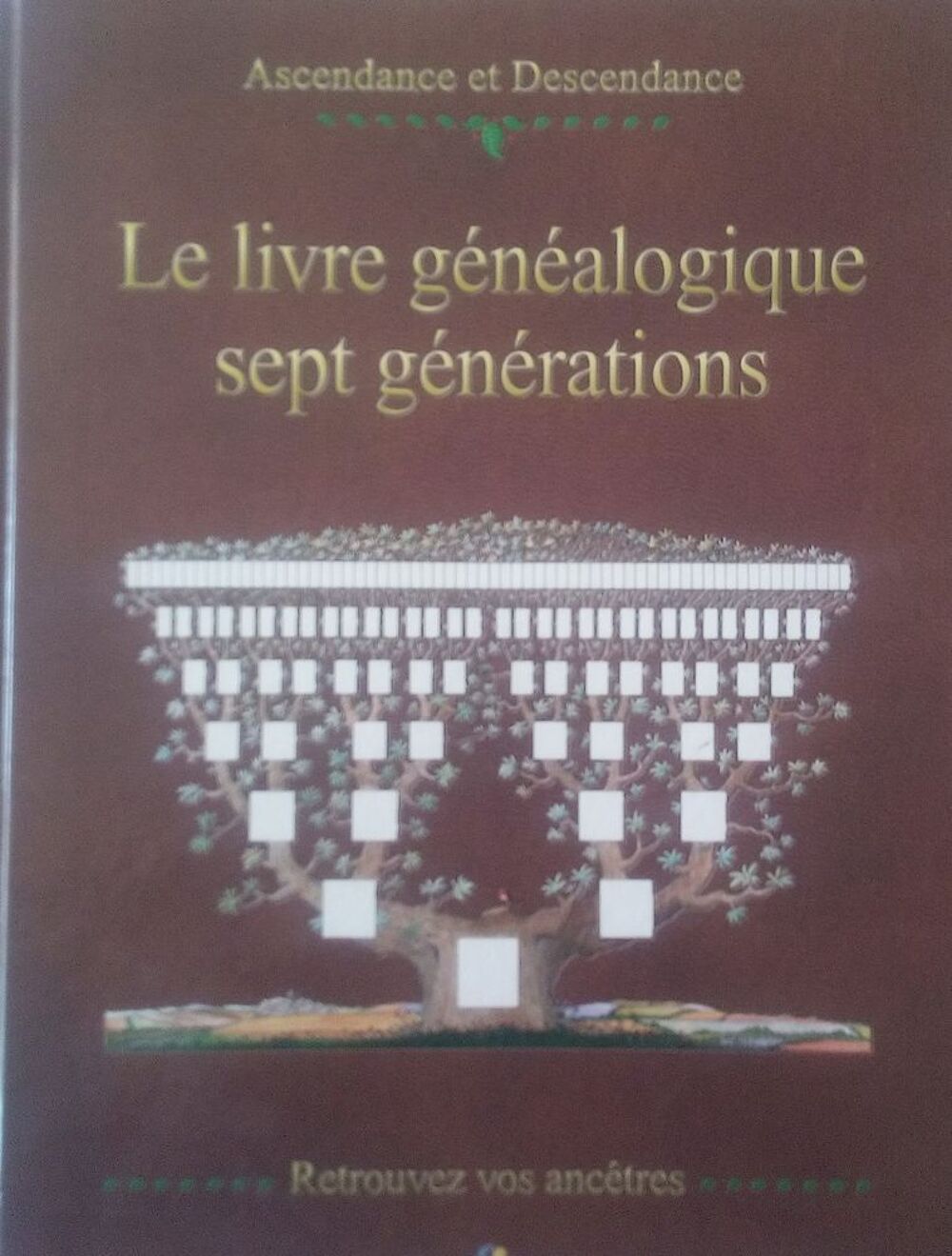 Livre g&eacute;n&eacute;alogique 7 g&eacute;n&eacute;rations Livres et BD