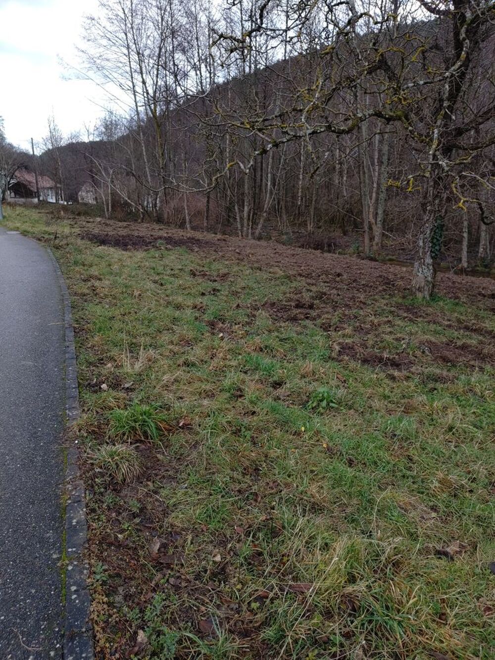 Vente Terrain Terrain constructible Bœrsch