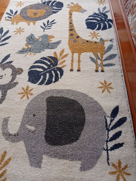 Tapis 30 Colombelles (14)