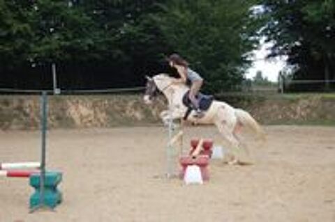   JOLIE JUMENT CREMELLO POUR LOISIRS OU / ET ELEVAGE 