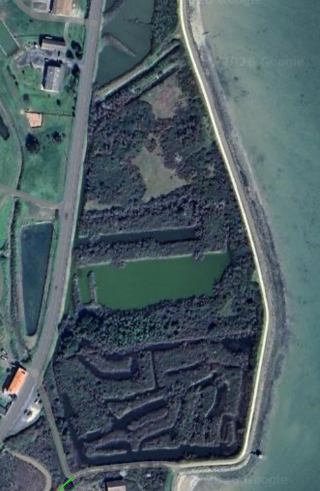  Terrain � vendre 51271 m�