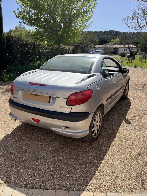 Peugeot 206 CC 1.6i 16V 2001 occasion Cabri&egrave;s 13480