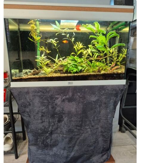 Aquarium 160L 130 94490 Ormesson-sur-marne